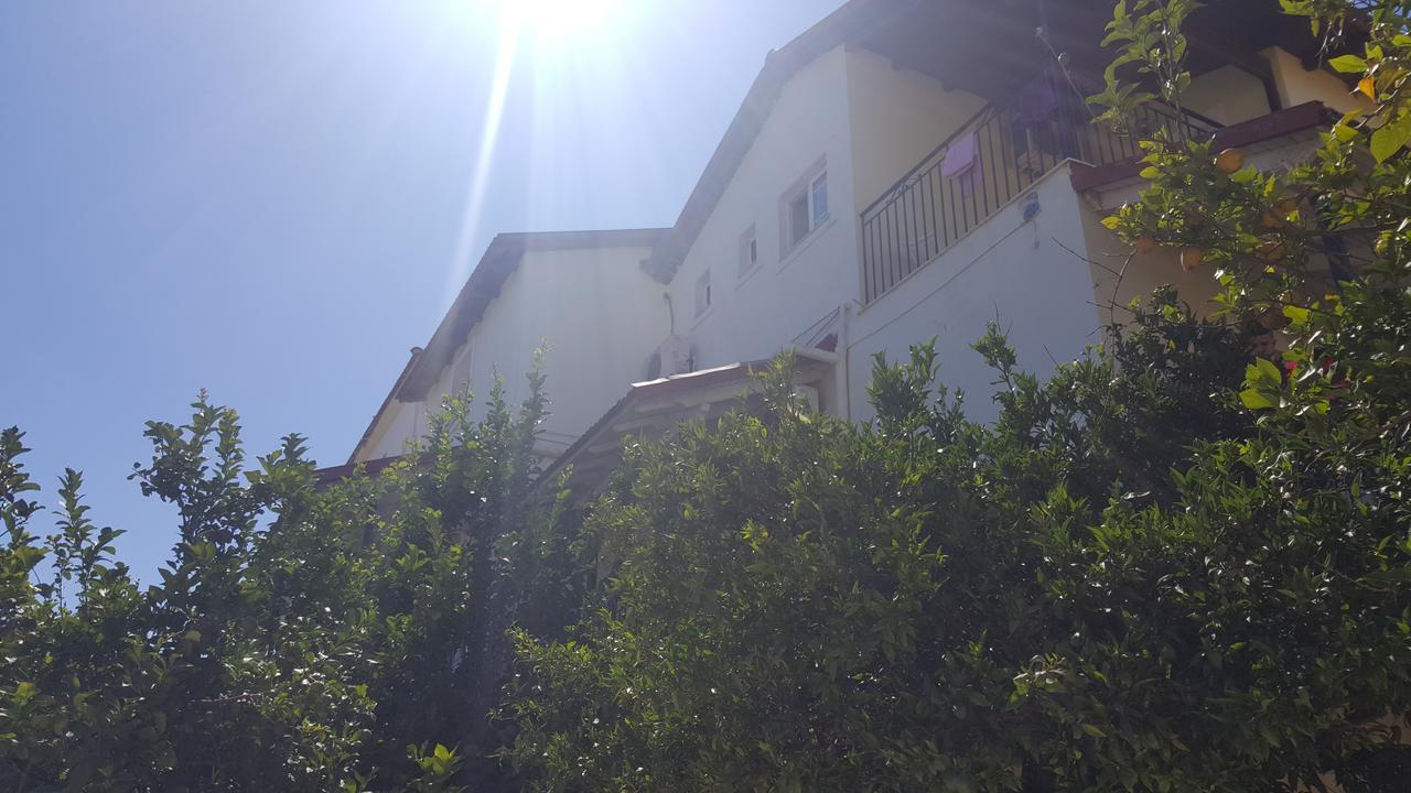 Hotel Apollo Kávos Zewnętrze zdjęcie