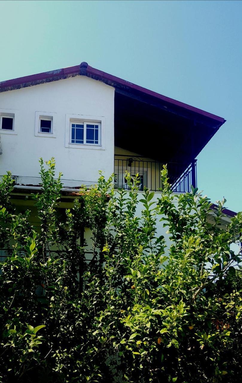 Hotel Apollo Kávos Zewnętrze zdjęcie